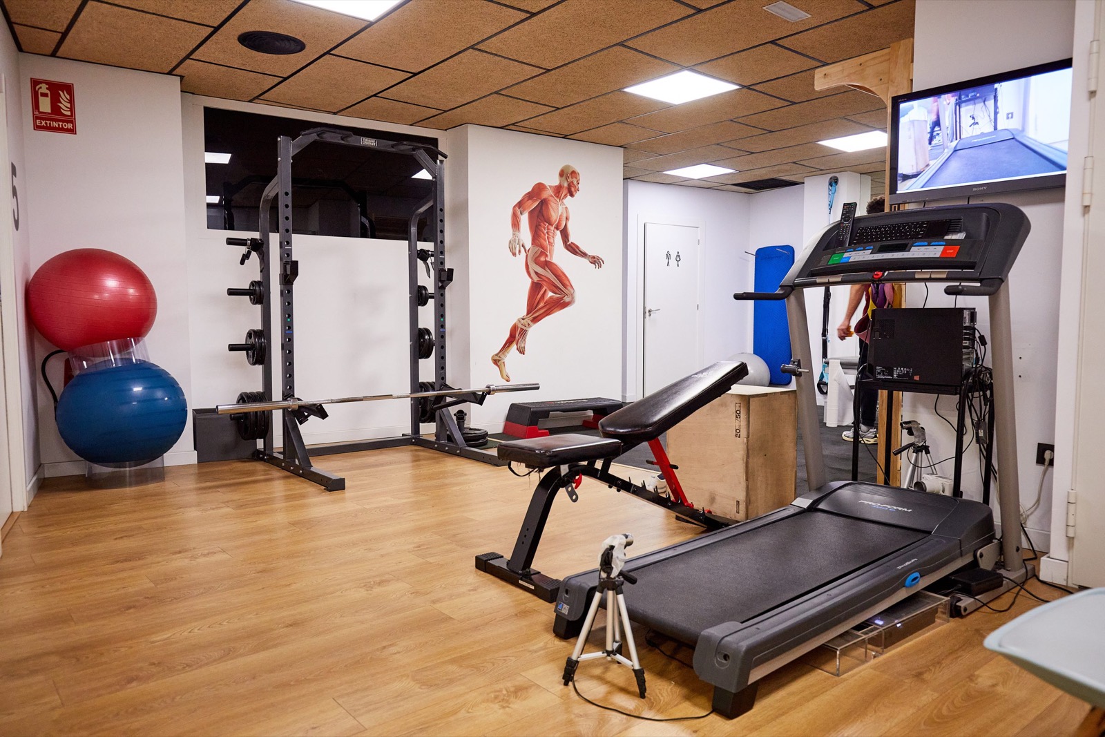 Sala de ejercicio terapéutico con cinta de correr, banco y pelotas de pilates